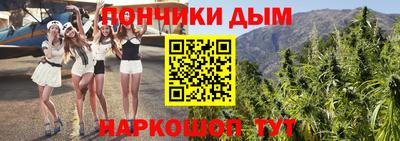 дживик Можга